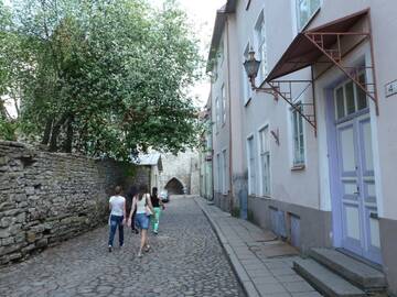 Фото Хостелы 16eur - Old Town Munkenhof г. Таллин 3