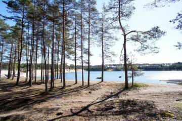 Фото номера Бюджетный одноместный номер Гостевой дом Jägerhof г. Таллин 4