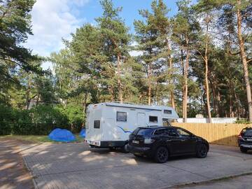Фото номера Шатер Кемпинги Camping Freedom г. Таллин 4