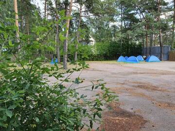 Фото номера Шатер Кемпинги Camping Freedom г. Таллин 22