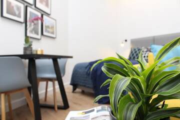 Фото номера Апартаменты-студио C47 Апарт-отели Tallinn City Apartments Old Town Suites г. Таллин 5